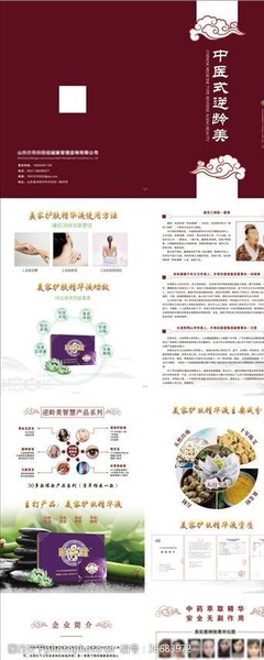 日用之美，生活之趣——探索日用品畫冊的圖片素材世界